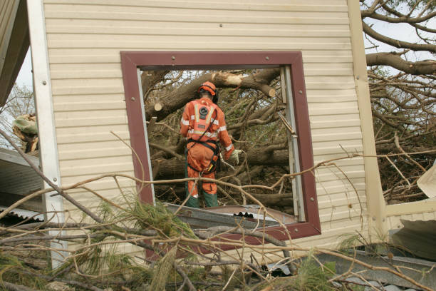 Best Tree and Shrub Care  in USA